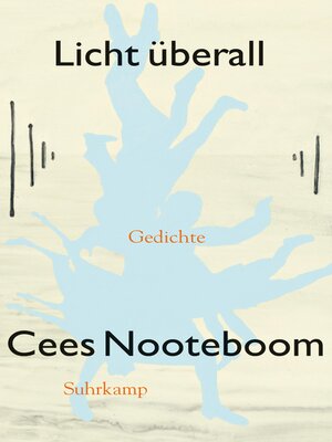 cover image of Licht überall